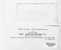 Image Associated With the Occurence